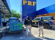 PRF apreende cerca de 135 kg de cocaína em Parnaíba
