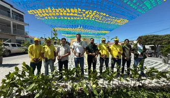 Secretária do Meio Ambiente distribui 9 mil mudas frutíferas e nativas em quatro municípios piauienses