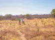 Semarh alerta para calor extremos e redução de chuvas com El Niño no Piauí