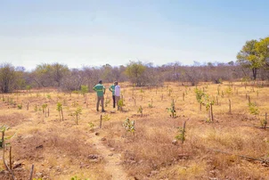 Guia auxilia prefeituras com orientação sobre El Niño