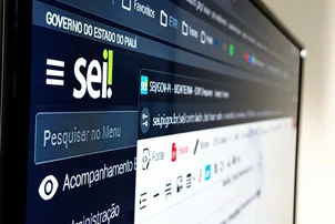 Sistema Eletrônico de Informações ganha novas funcionalidades no PI