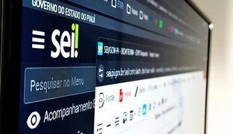 Sistema Eletrônico de Informações (SEI)