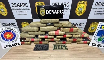 Polícias do Piauí apreendem 20 quilos de maconha durante ação no Maranhão