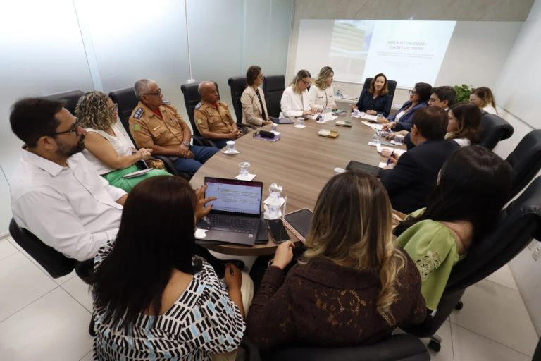 MPPI articula ação estadual para reforçar segurança nas escolas do Piauí