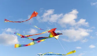 pipa