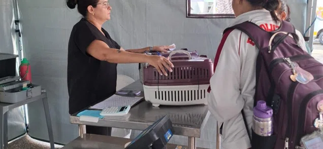 Ônibus da Castração chega à zona Sudeste de Teresina e faz ação gratuitas em cães e gatos
