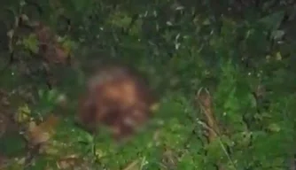 Crânio humano é encontrado em terreno baldio na zona Norte de Teresina