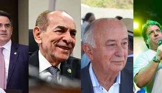 Veja lista de pré-candidatos ao Senado Federal pelo Piauí nas Eleições de 2026