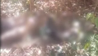 Corpo em avançado estado de decomposição é encontrado em matagal na zona Sul de Teresina