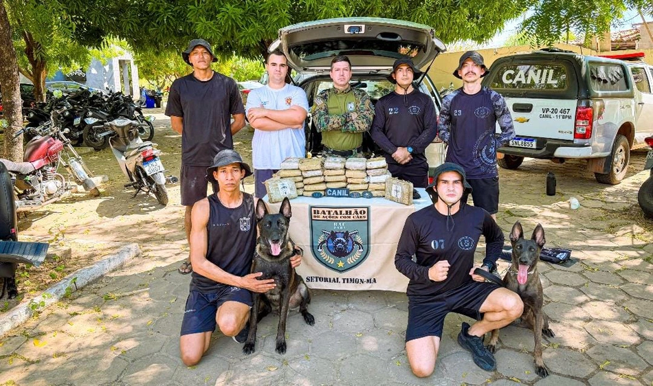 Polícia Civil do Maranhão localiza mais de 30 quilos de maconha durante ação em Buriti