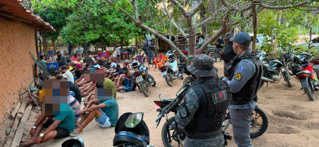 Polícia Militar apreende 59 aves durante rinha de galos e conduz homem na cidade de Timon
