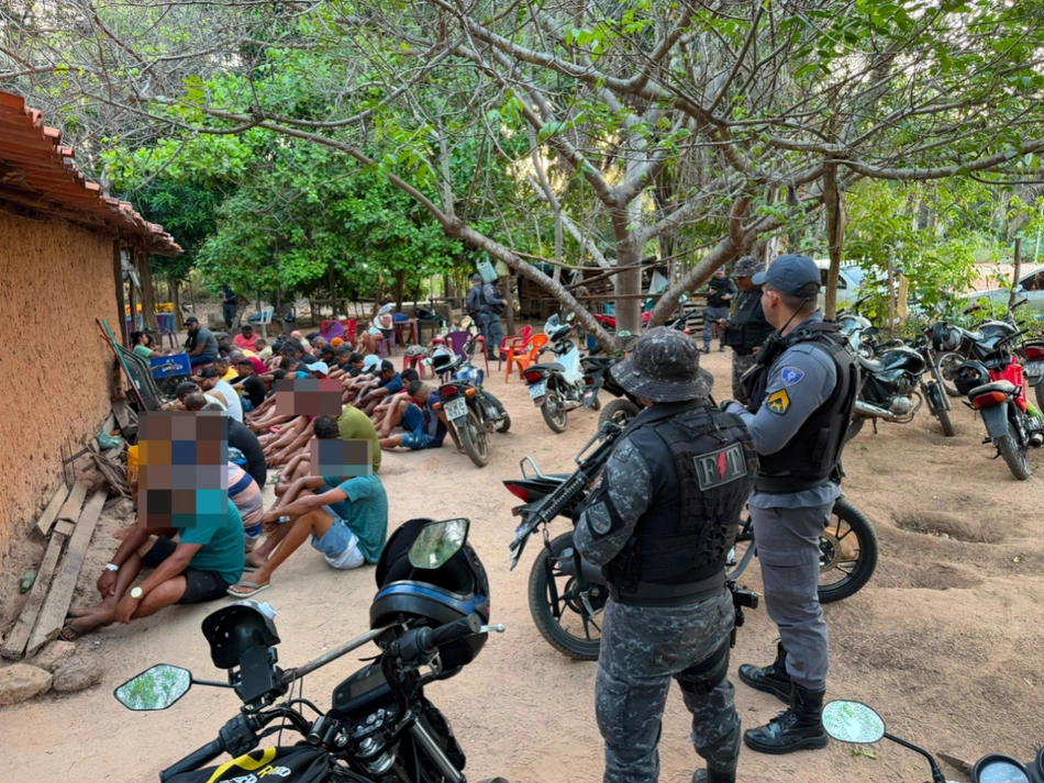 Polícia Militar desarticula rinha de galos e conduz proprietário em Timon