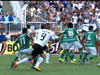 Garra Alviverde(Imagem:Reprodução) Garra Alviverde(Imagem:Reprodução)