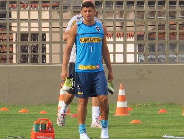 Elkeson lidera a artilharia do Botafogo no Brasileiro, com oito gols (Imagem:Reprodução)