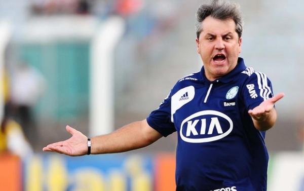 Gilson Kleina quer o Palmeiras lutando contra a degola até o fim (Imagem:Reprodução)