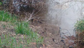 Homem é encontrado morto as margens do Rio Poti