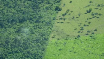 Imagem aérea mostra desmatamento na Amazônia 