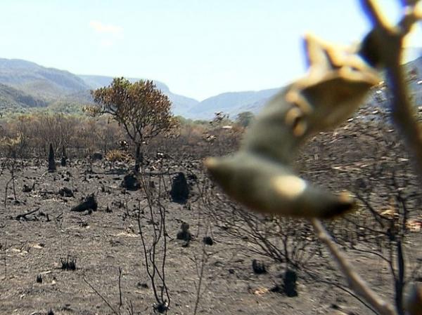 Inc&ecirc;ndio destr&oacute;i vegeta&ccedil;&atilde;o na Serra do Cip&oacute; (Imagem:Reprodu&ccedil;&atilde;o/TV Globo))