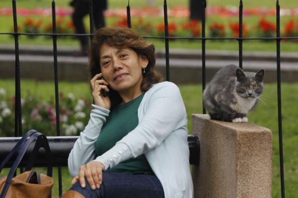 Mulher fala ao celular ao lado de gato nesta quinta-feira (2) em parque de Lima, no Peru(Imagem: Martin Mejia/AP)