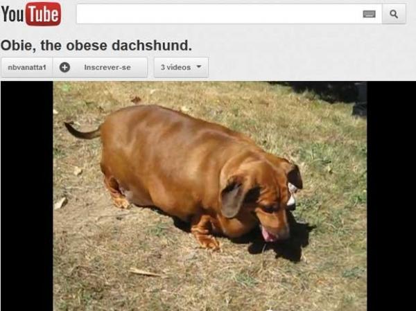 Obie, 5, tem cerca de 35 quilos(Imagem:Reprodu&ccedil;&atilde;o)