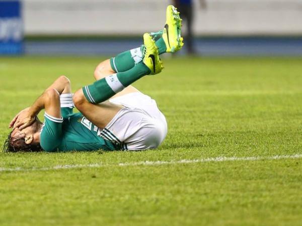 Palmeiras(Imagem:Reprodu&ccedil;&atilde;o)