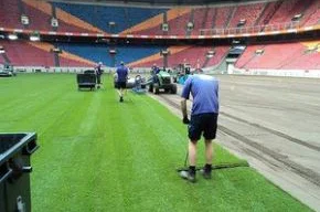 Pesticida nos gramados italianos pode estar relacionado a morte de jogadores