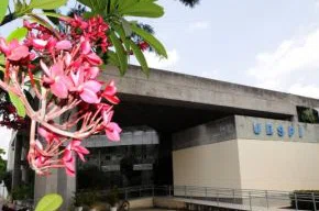 Uespi-Universidade Estadual do Piauí
